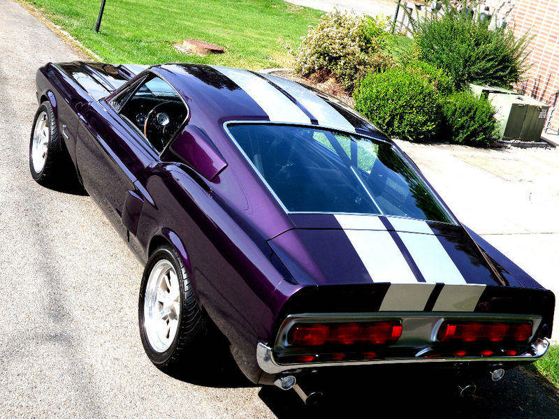 purple and black mustang