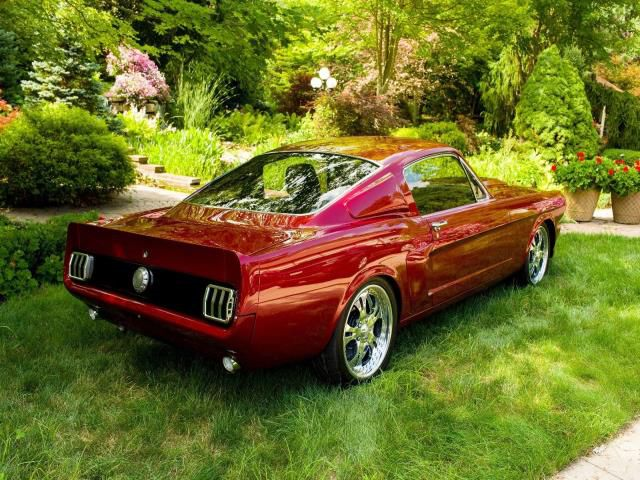 1965 Ford Mustang Fastback 2.png