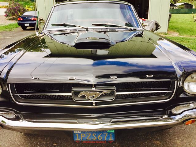 1965 MUSTANG COUPE BLACK WITH RED INTERIOR 2.jpg