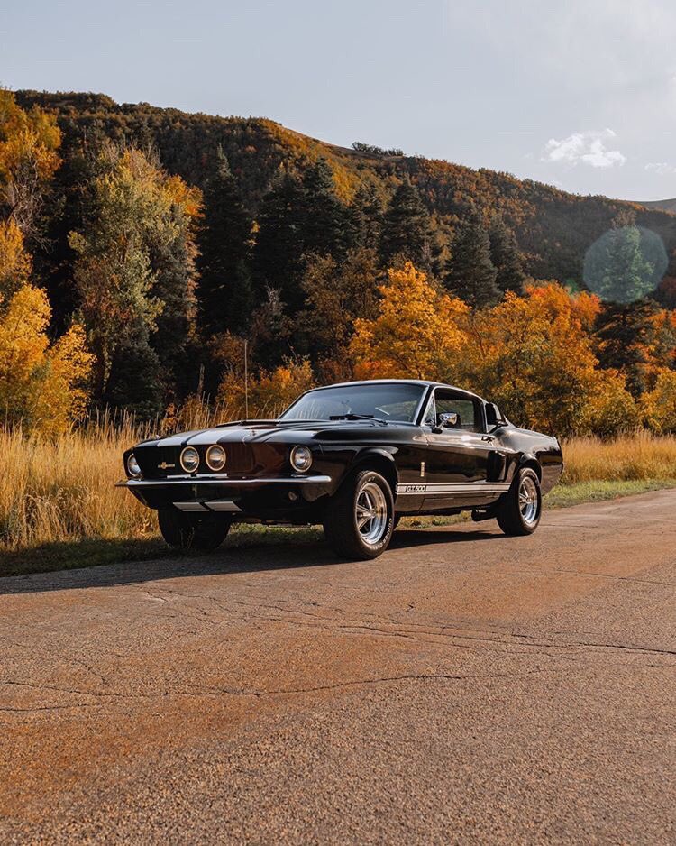 1967 Ford Mustang Fastback GT500 2.jpg