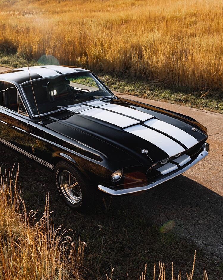 1967 Ford Mustang Fastback GT500 3.jpg