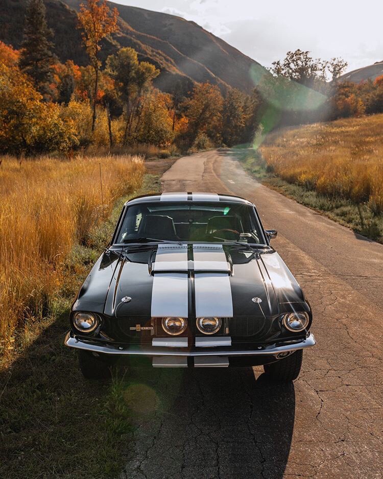 1967 Ford Mustang Fastback GT500 4.jpg