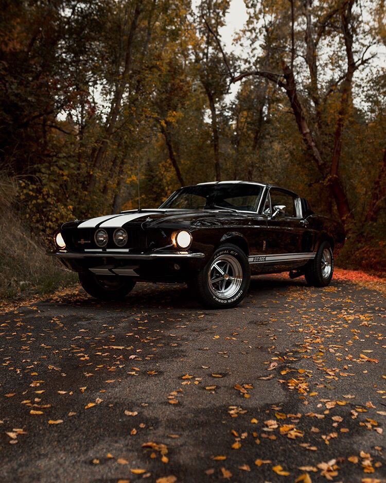 1967 Ford Mustang Fastback GT500 5.jpg