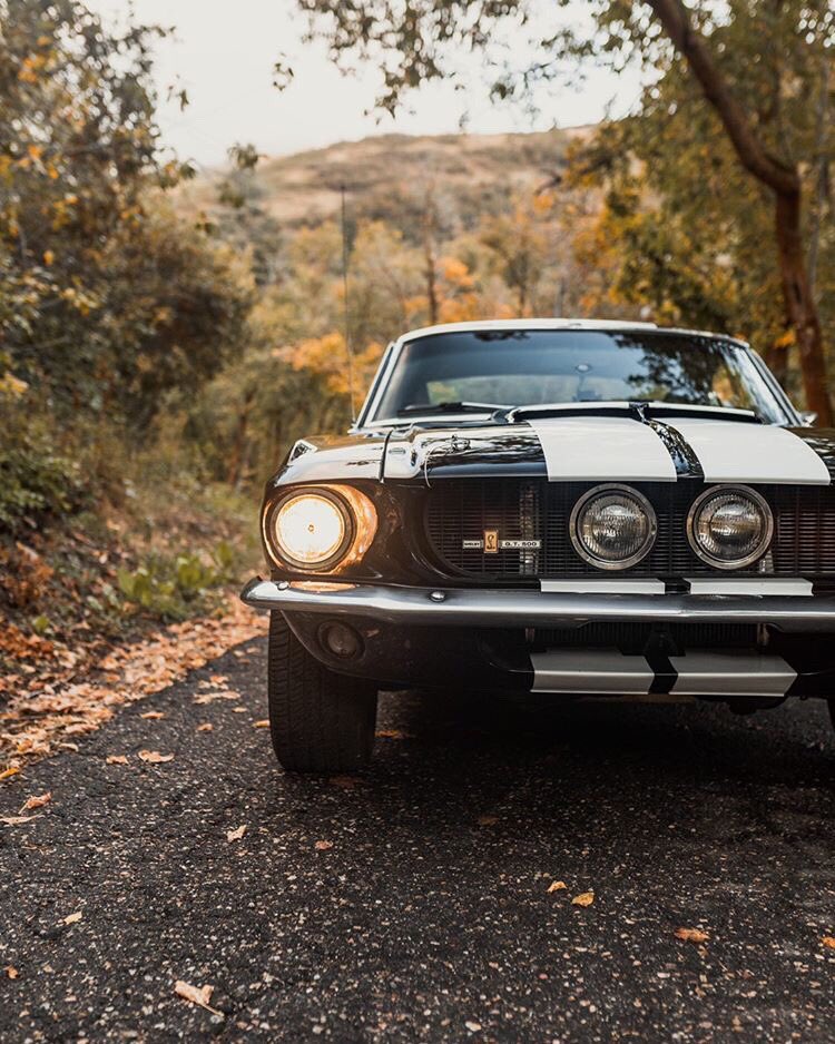 1967 Ford Mustang Fastback GT500 7.jpg