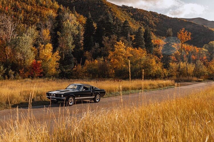 1967 Ford Mustang Fastback GT500 8.jpg