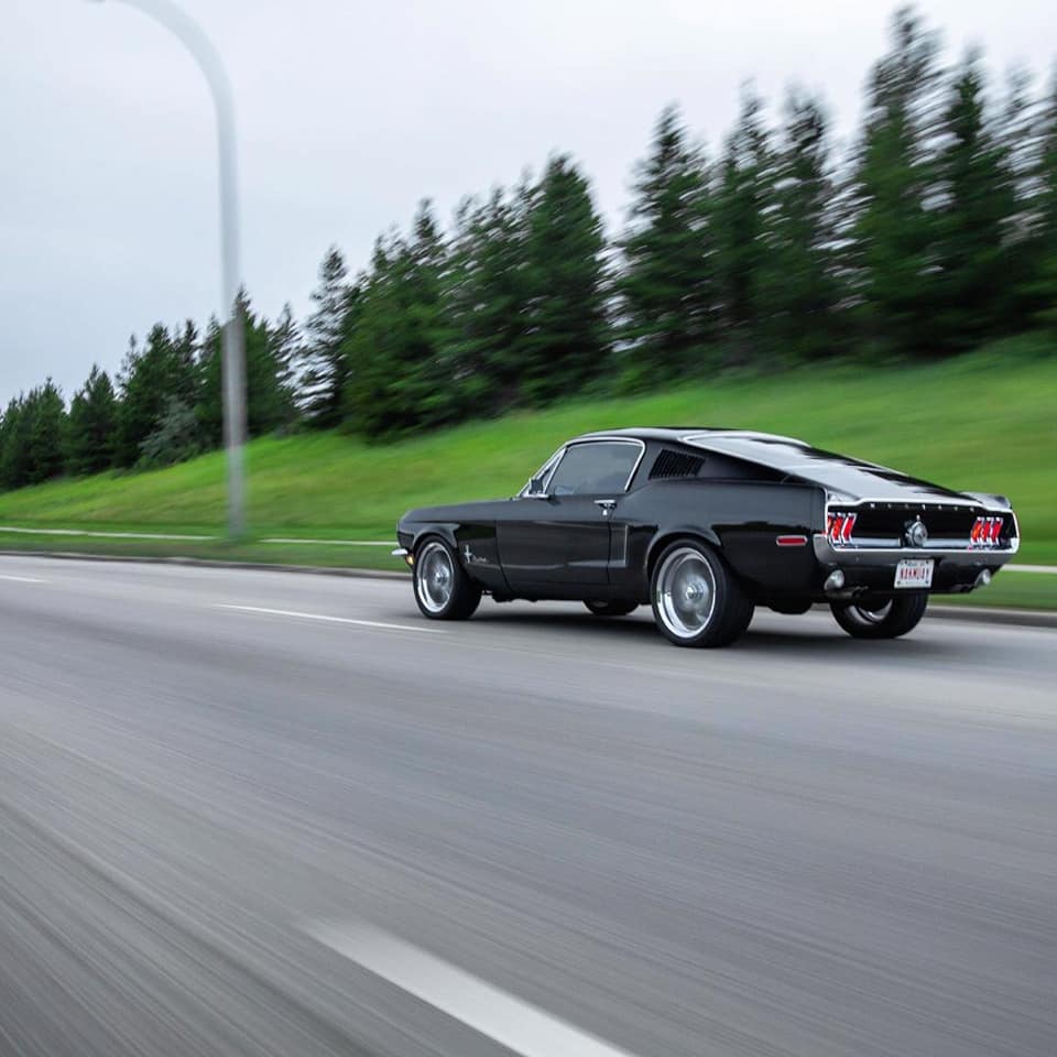 1968 Ford Mustang Fastback www.FordDaily.net 6.jpg