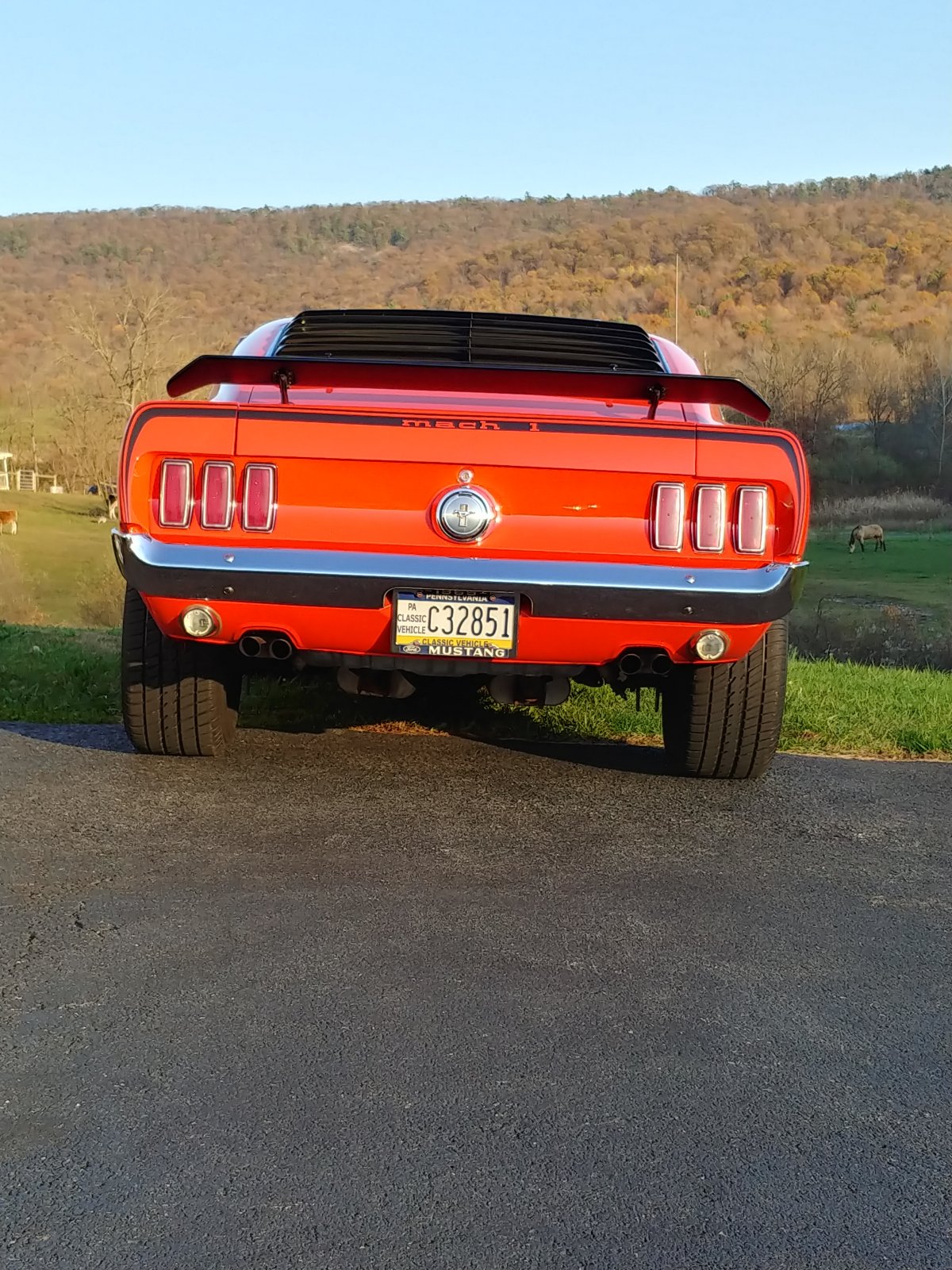 1969 Ford Mustang Mach 1 With a 480 HP 6.jpg