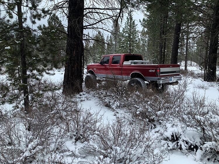 1996 Ford F-250 6-Speed Powerstroke 4x4 10.jpg