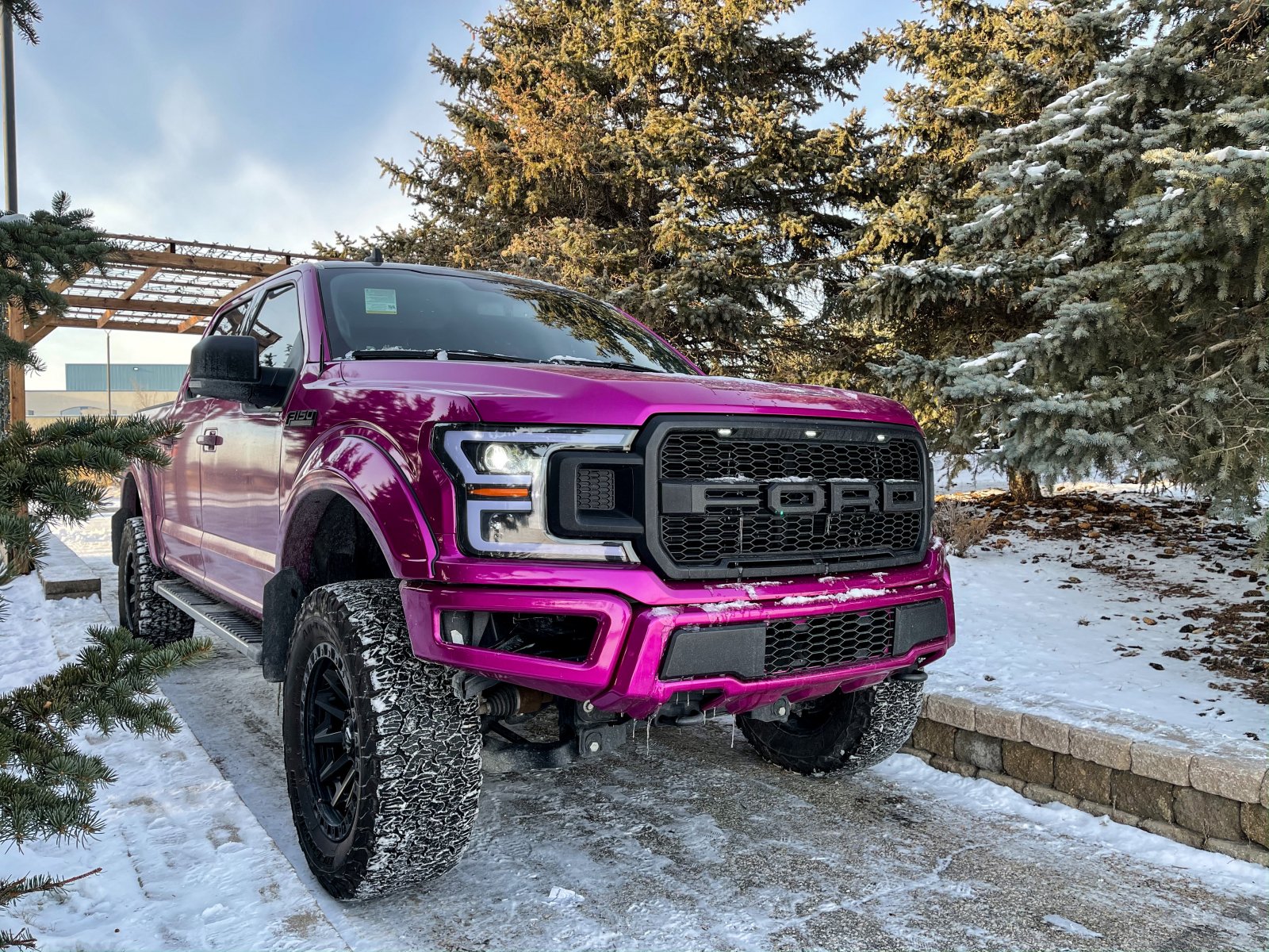 2020 Ford F-150 Lifted FX4 With Unique Color 2.jpeg