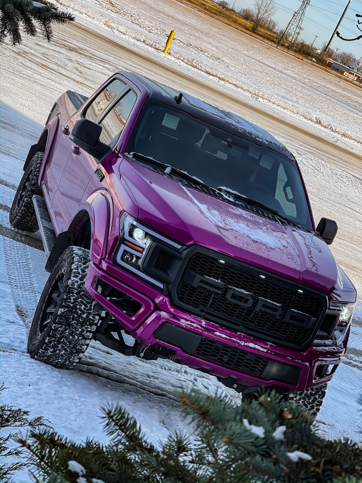 2020 Ford F-150 Lifted FX4 With Unique Color 3.jpeg