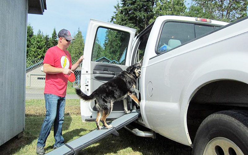 6 Ford Truck Mods For Your Dog 2.jpg