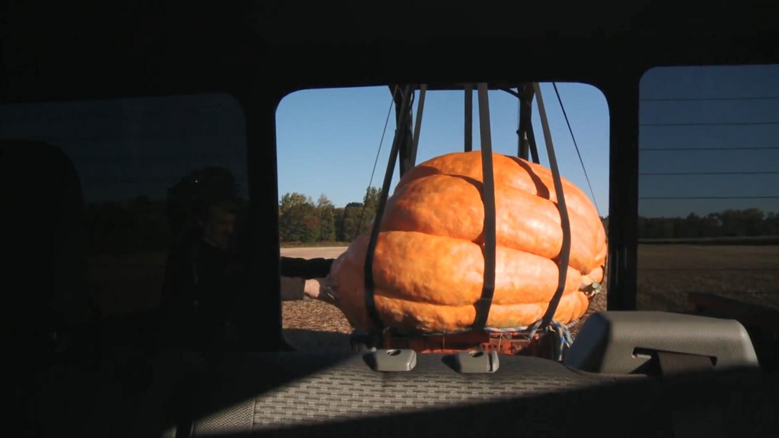 Ford F150 Hauling 1,200 Pound Giant Pumpkin 2.JPG