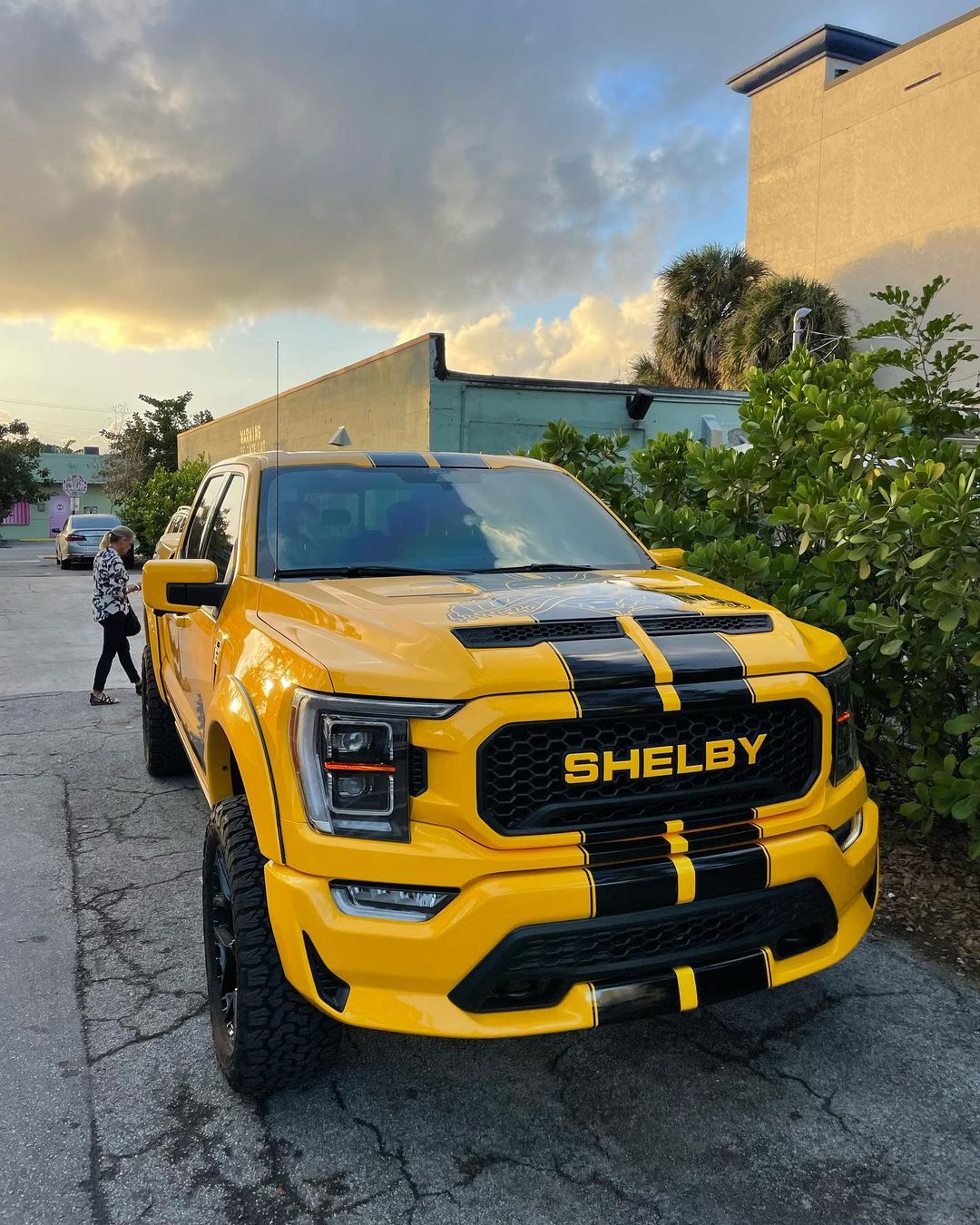 Ford F150 Shelby Custom Wrapped 10.jpg