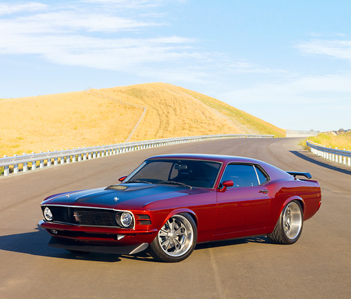 Gorgeous Ford Mustang Burgundy! Would you drive it daily 3.jpg
