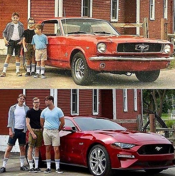 MUSTANG LOVERS 1.png