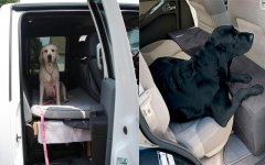 6 Ford Truck Mods For Your Dog 4.jpg