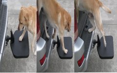6 Ford Truck Mods For Your Dog 5.jpg